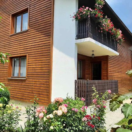 Aleksandar Apartmani Pale Exterior foto